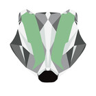 Amintybadger