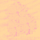 lzpabl0