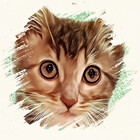 ChattyTorbie