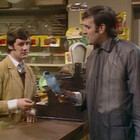 DeadParrot