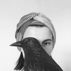 penbirds