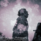 Shadowpic81