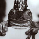 frogsrwe