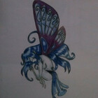 Lawex
