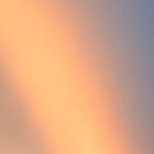 mefluggie