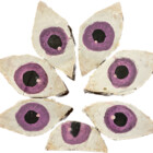 feathrdflake
