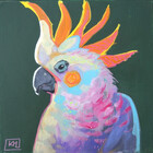 MotleyBird
