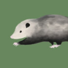 balletdancercb