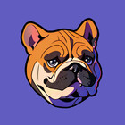 Magikdog