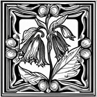 WildComfrey
