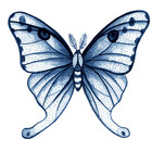 mariposablu