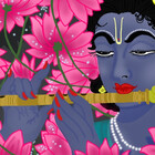 patelmayu