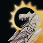 DoctorKrook