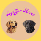LynZorHome