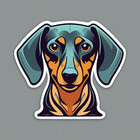 DachshundsOnRB