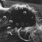 aimerange