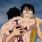 justanimeee