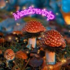 MeadowTrip