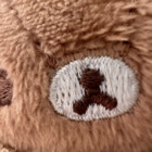 KumaBabyBear