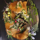 DarkFern