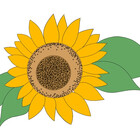 hmillerart12
