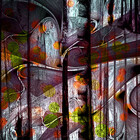 DMBurns1