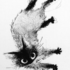 narniadoodles