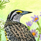 paperbirdstudio