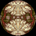 sunrender