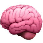 neuro-humour