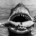 PoppaShark
