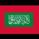 Nooraa1174