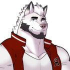 anewdawnvn
