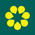 Flags4Australia