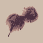 PaleoInvert
