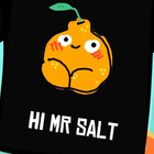 mr---salt