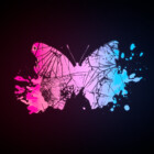 ButterflyCrash