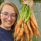 SamsFarmStand