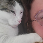 CatLadyCaitlin