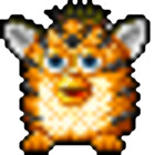 fallcat