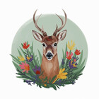 WildernessTints