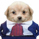 CapBork