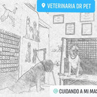 Vetpets