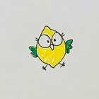 LemonBirdShop