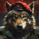 Hasko-shop
