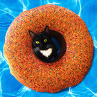 FuzzyDuckArt