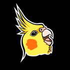 punkburdarts