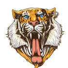 tigerX9