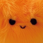 cutepid