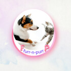 Furr-n-Purr